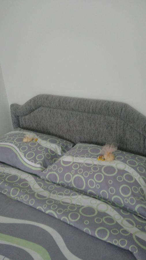Apartment Holiday Kolašin Eksteriør billede
